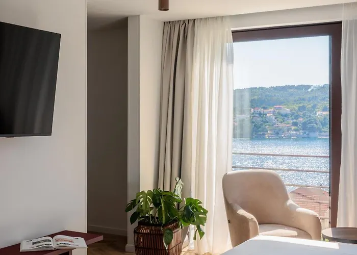 Remi فيلة سومارتين