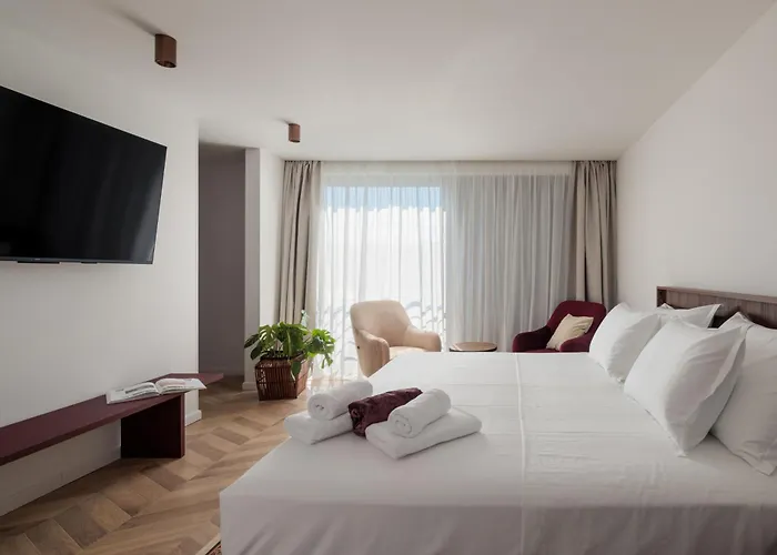 فيلة Remi سومارتين