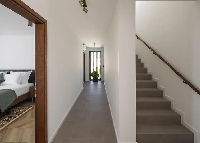 فيلة Remi سومارتين